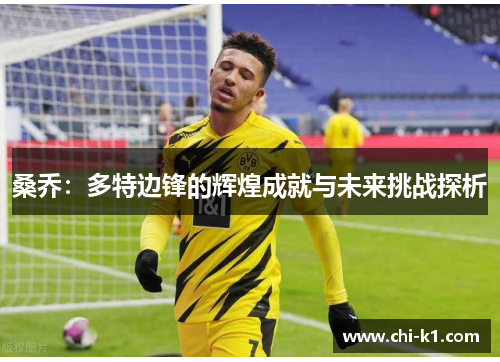 桑乔：多特边锋的辉煌成就与未来挑战探析