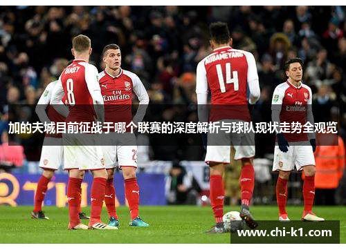 加的夫城目前征战于哪个联赛的深度解析与球队现状走势全观览 加的夫城目前征战于哪个联赛的深度解析与球队现状走势全观览