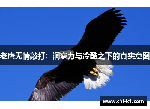 老鹰无情敲打：洞察力与冷酷之下的真实意图