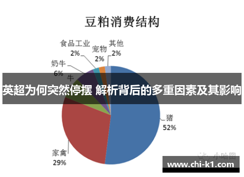 英超为何突然停摆 解析背后的多重因素及其影响