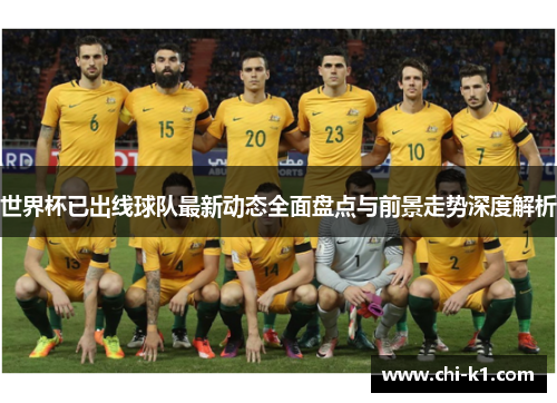 世界杯已出线球队最新动态全面盘点与前景走势深度解析