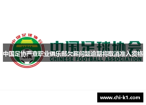 中国足协严查职业俱乐部欠薪问题逾期将取消准入资格