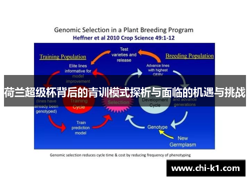 荷兰超级杯背后的青训模式探析与面临的机遇与挑战