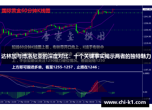 达林加与博洛尼亚的深度对比:十个关键事实揭示两者的独特魅力 达林加与博洛尼亚的深度对比:十个关键事实揭示两者的独特魅力