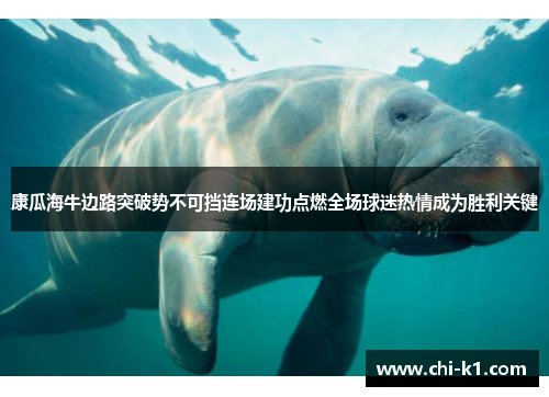 康瓜海牛边路突破势不可挡连场建功点燃全场球迷热情成为胜利关键 康瓜海牛边路突破势不可挡连场建功点燃全场球迷热情成为胜利关键