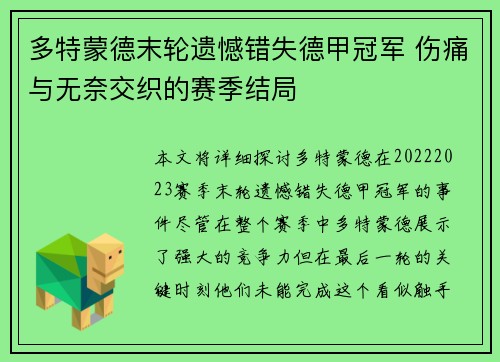 多特蒙德末轮遗憾错失德甲冠军 伤痛与无奈交织的赛季结局